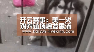 开云赛事:美一火鸡养殖场爆发禽流感(图4) 开云赛事