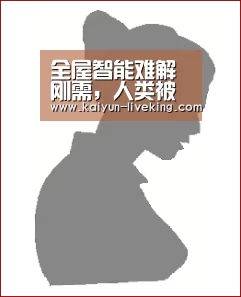 开云赛事