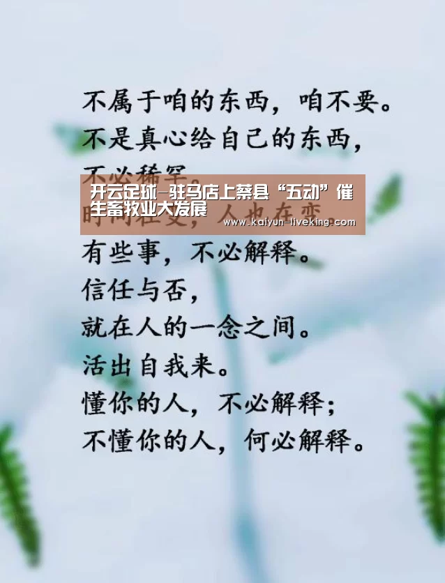 开云足球