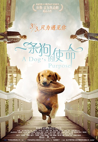 开云足球