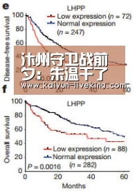 汴州守卫战前夕:朱温干了三件事,奠基了胜局:开云篮球(图1) 开云体育