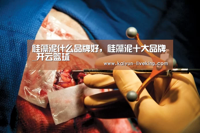 硅藻泥什么品牌好,硅藻泥十大品牌_开云篮球(图1) 开云体育