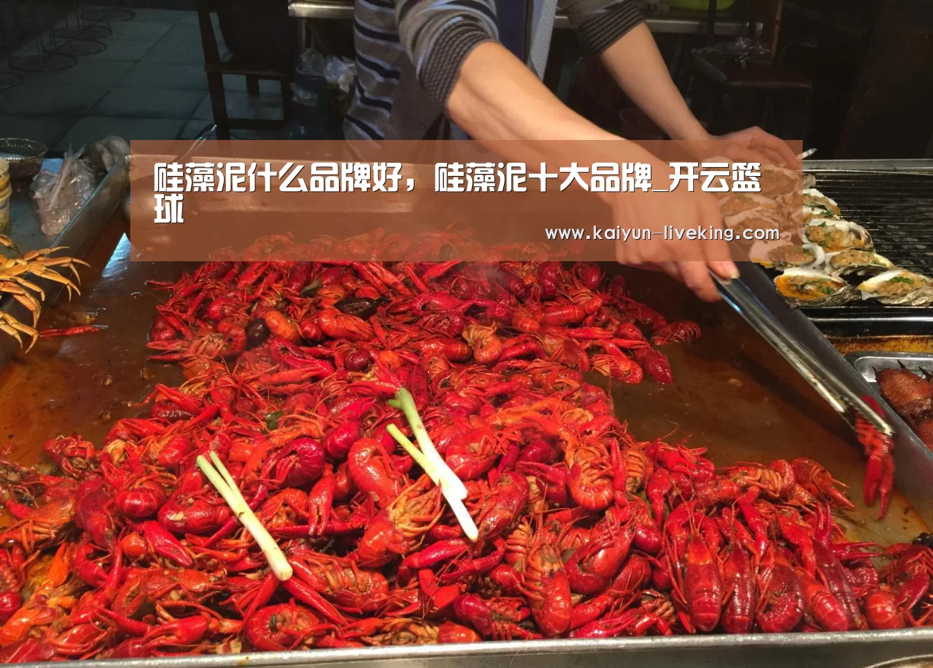 硅藻泥什么品牌好,硅藻泥十大品牌_开云篮球(图3) 开云足球